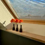 Historische Mit Sauna Und Dachterrasse Διαμέρισμα *