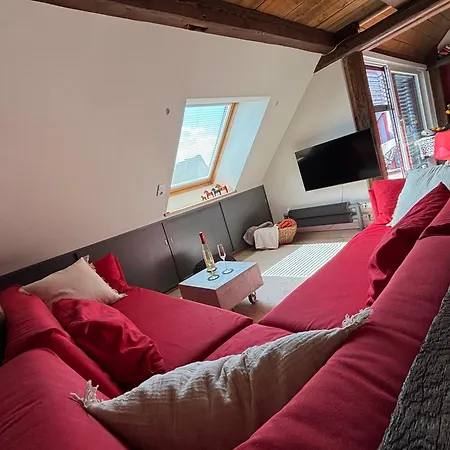 Διαμέρισμα Historische Mit Sauna Und Dachterrasse *
