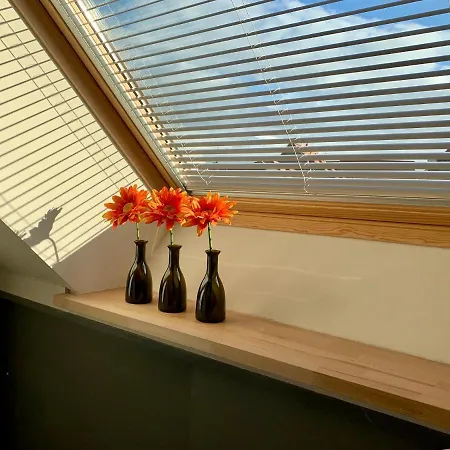 Historische Mit Sauna Und Dachterrasse شقة *