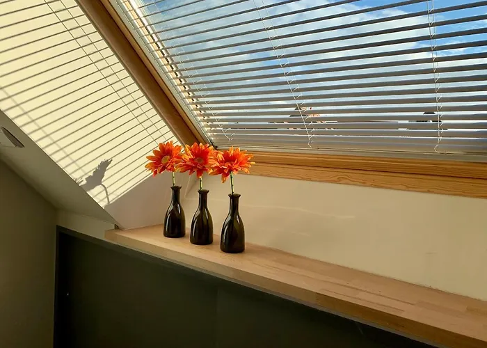 Historische Ferienwohnung Mit Sauna Und Dachterrasse Апартаменты *